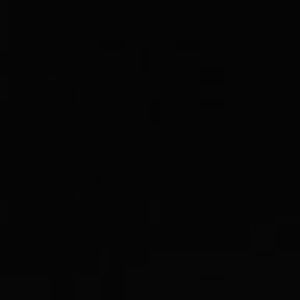 Meet your Posher, Angelica